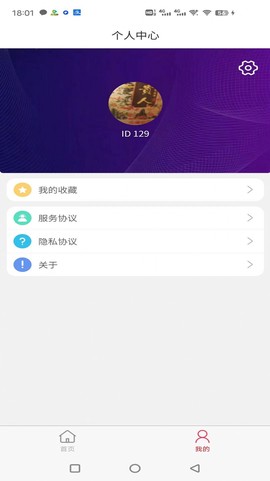 蜜蜂起名[图3]