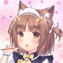 猫娘乐园冷狐汉化版2