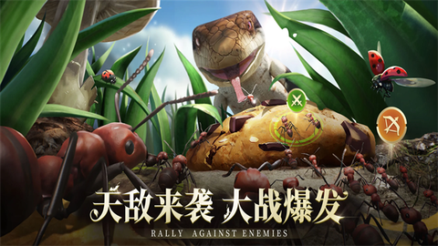 蚂蚁：地下王国截图2