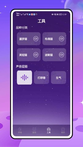 喵喵乐园[图1]