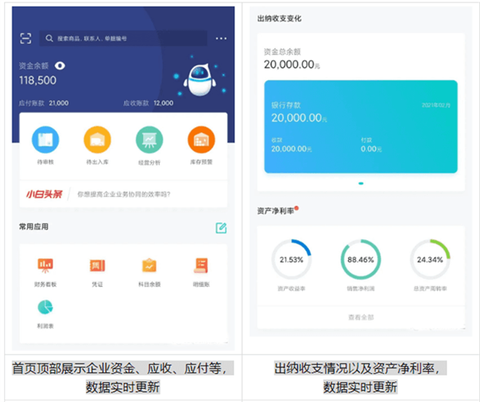 金蝶精斗云标准版[图1]