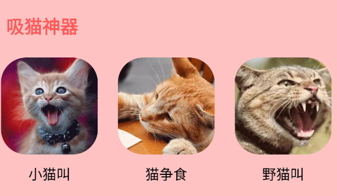 人猫交流器官方版[图2]