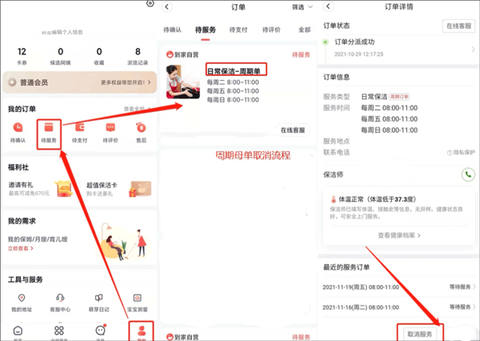 天鹅到家[图2]