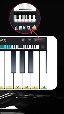 模拟钢琴截图3