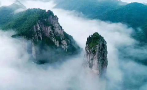 小说宝库截图1