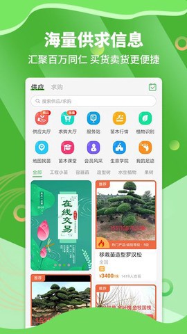 苗木通截图1