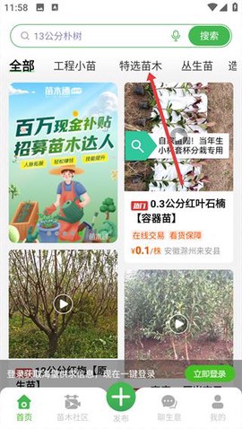 苗木通截图2