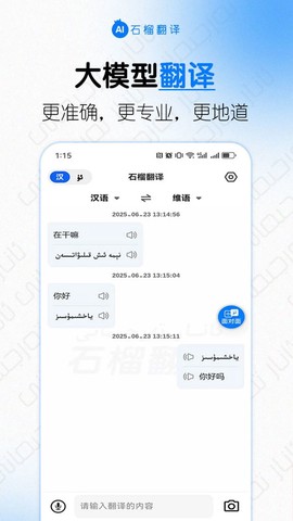 石榴翻译截图2