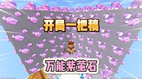 迷你世界荧石长什么样