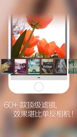 柚子相机[图1]