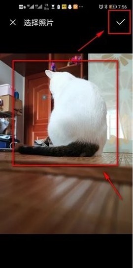 Picsart[图6]