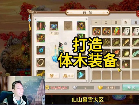 手游问道体木怎么加点