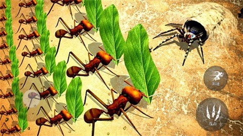 昆虫捣蛋模拟截图3