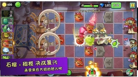 植物超进化截图3