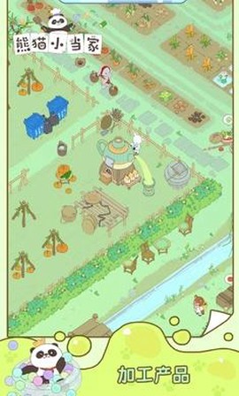 熊猫小当家[图1]
