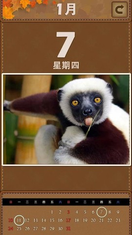 萌宠日历截图3