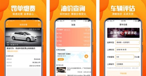 汽车助手违章查询截图3