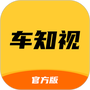 车知视