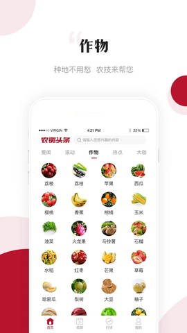 农资头条截图2
