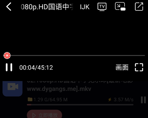 柚子下载[图1]