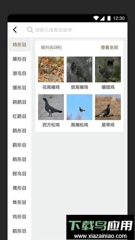 识鸟家截图3