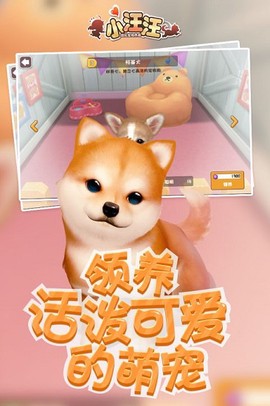 小汪汪[图1]