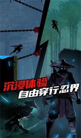 刺客迷宫截图3