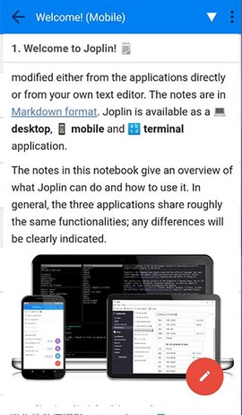 joplin[图2]