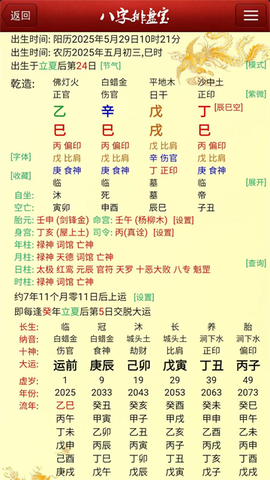 马国峻八字排盘宝截图3