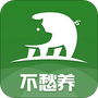 不愁养猪