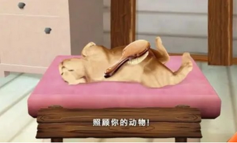 动物旅馆[图1]