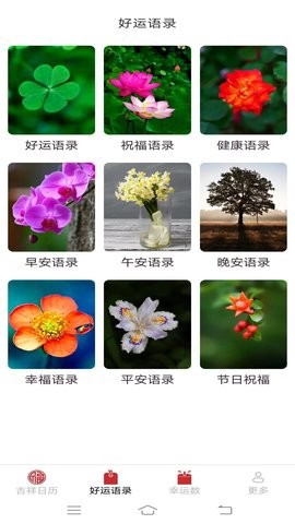 多宝有好运截图3