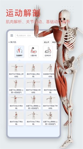 3dbody解剖app截图3