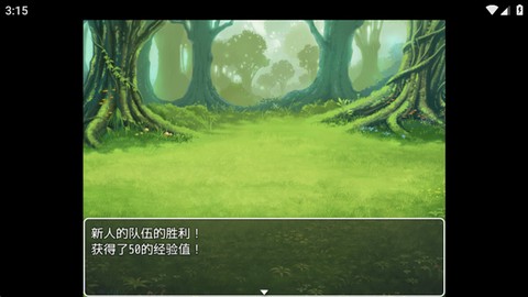 普通的RPG[图5]