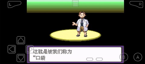 口袋妖怪漆黑的魅影截图2