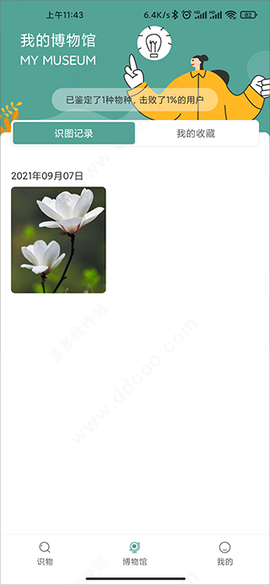识花君[图6]