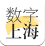 数字上海