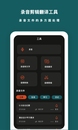 语音备忘录音机[图1]