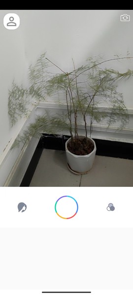 惊鸿相机截图2