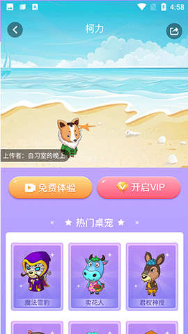 小小桌宠[图2]