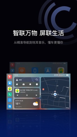 驾驶伴侣截图1