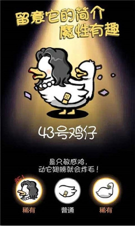 小鸡真奇怪截图2