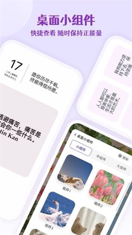 每日语录截图3