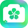 花影相机