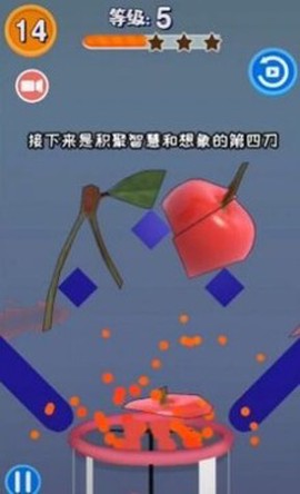 切水果欢乐榨汁[图1]