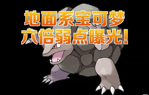 宝可梦什么系可地面系