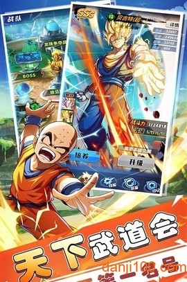 赛亚龙珠[图2]