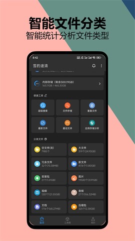 雪豹速清截图1