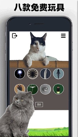 猫狗玩具模拟器[图1]