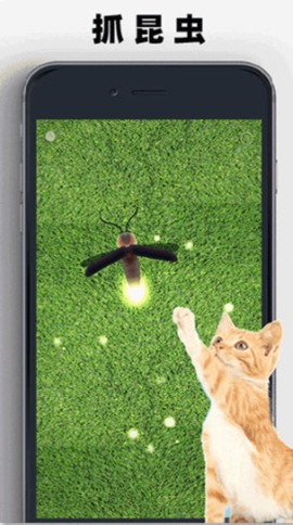 猫狗玩具模拟器[图3]